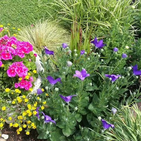 Adelsberg Alpirsbach