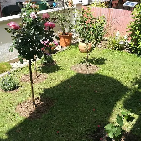 Apartment Adelsberg