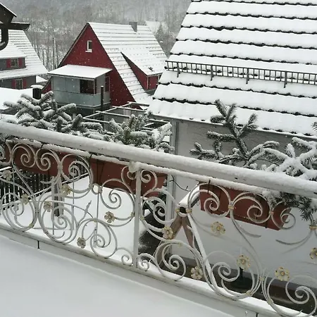 Adelsberg Apartment Alpirsbach