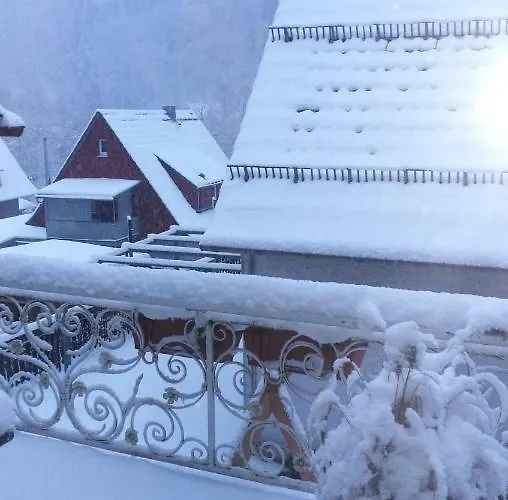 Adelsberg Apartmán Alpirsbach