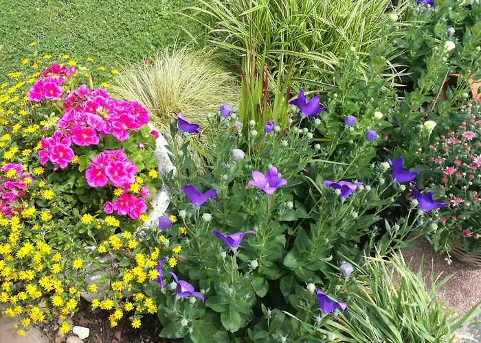 Adelsberg Alpirsbach